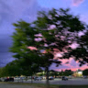 Meet your Posher, Rick